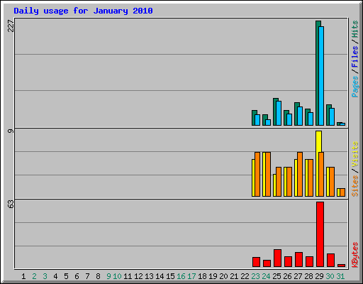 Daily usage for January 2010