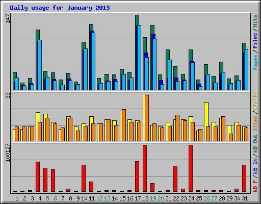Daily usage for January 2013