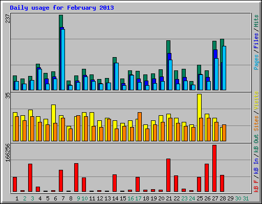 Daily usage for February 2013