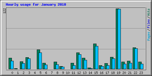 Hourly usage for January 2010