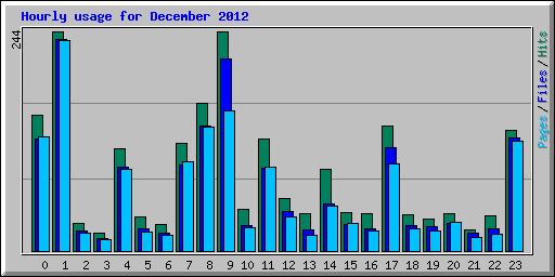 Hourly usage for December 2012