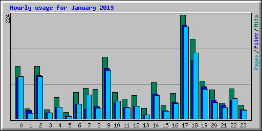 Hourly usage for January 2013
